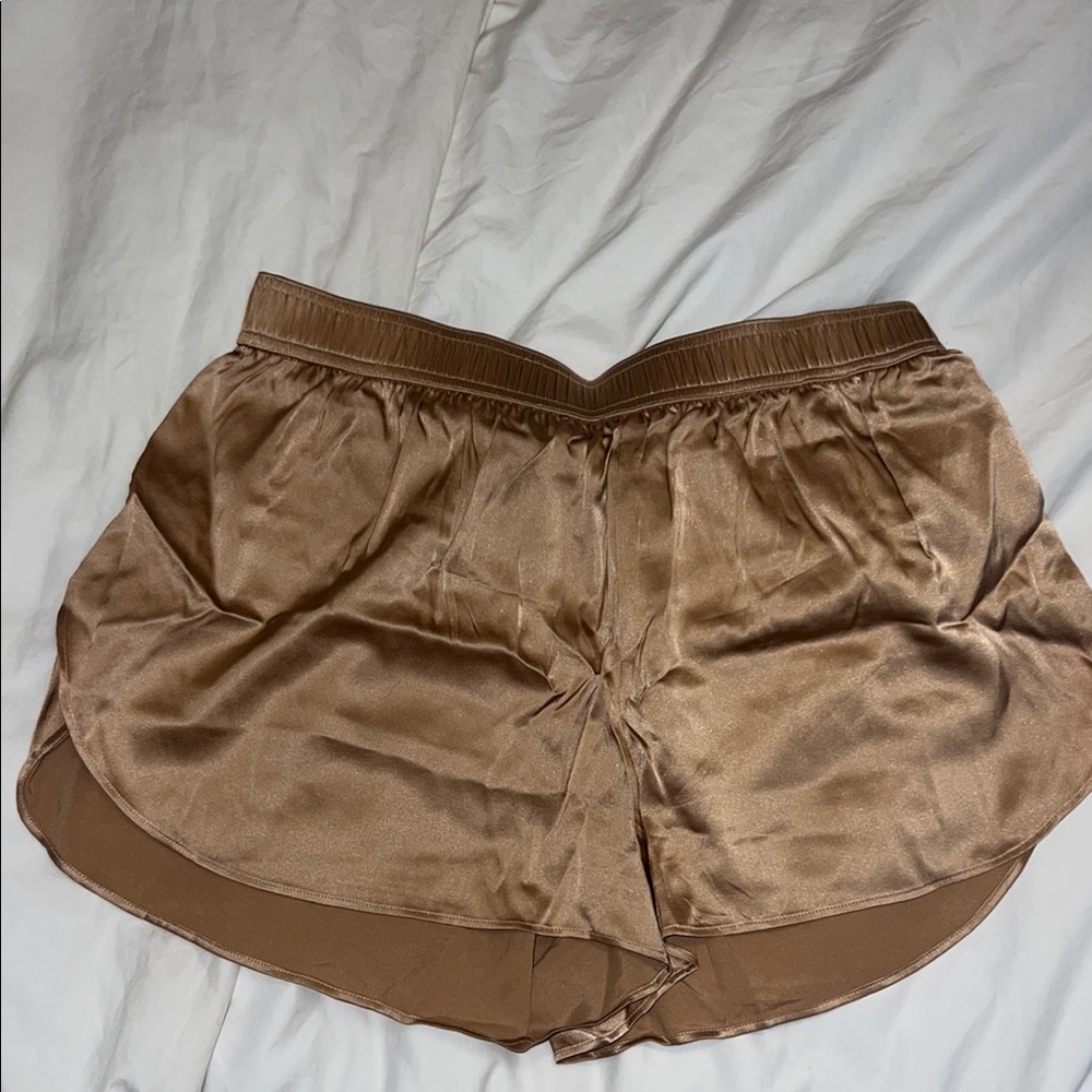 Aritzia Silk shorts